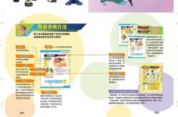 神奇宝贝中心翻译