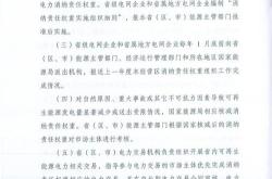 山西新能源消纳政策