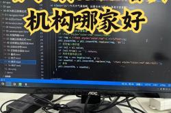 编程各个语言的特点是什么