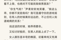 翻译官小说安卓下载