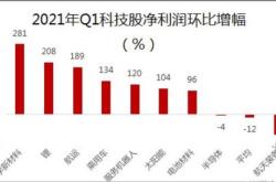 业绩大幅增长的科技股票