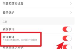 网易云音乐歌词翻译切换