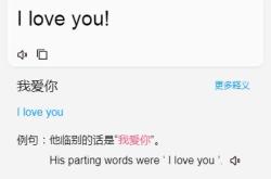 翻译目标语言什么意思