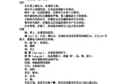 古文短语翻译软件
