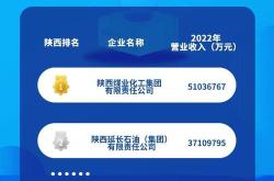 彩虹新能源市值