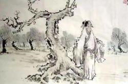桐花鸟文言文翻译