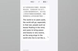 就是这样的日语怎么翻译