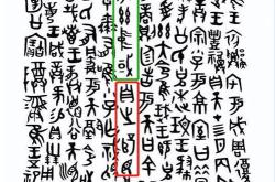 昼夜两字翻译