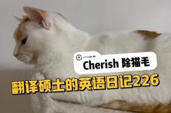 猫的翻译