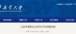 山东外国语职业学院代码