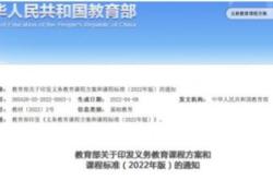 似乎关心翻译成英语