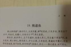 撞车古文翻译