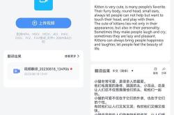 自动视频翻译软件