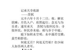 有顶天变数字简谱
