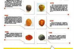 口语翻译