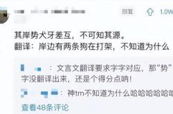 中学生翻译兼职