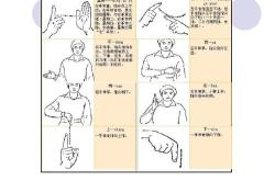乖的手语翻译成英文