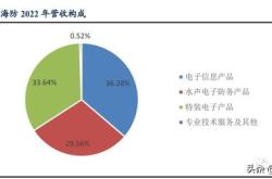 新能源汽车现有竞争者分析