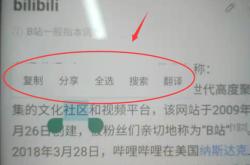 搜索不到翻译英文的网站