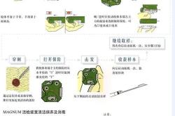 kd编程器