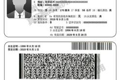 翻译应该