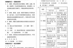 新能源煤球
