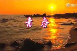 青春不再青春不在