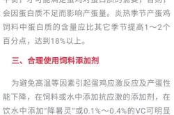 调整翻译成英语