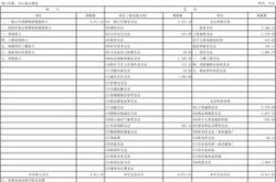 财政预算英语怎么写