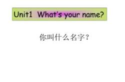 林的英文怎么翻译的
