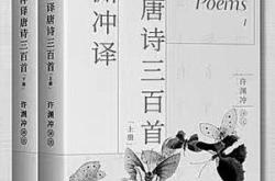 许渊冲李清照如梦令