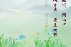 蒹葭改写成小故事100字