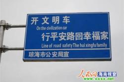 笨蛋翻译成日语
