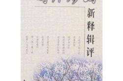 春雨古诗周邦彦翻译