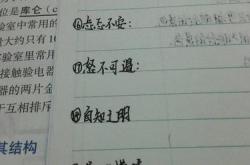 它们很可口翻译