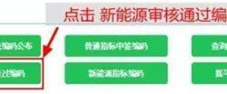新能源指标排名怎么查询