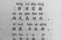 耕田的翻译