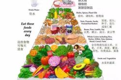 吃素释义