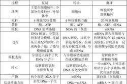 外文翻译中的图表是什么
