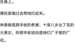录音翻译文字软件