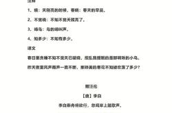 我有语文作文