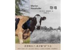 很多人失去了家园翻译
