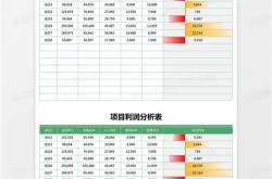 项目盈利能力怎么写