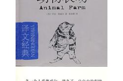 现场互动英文翻译