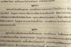 橘子英文翻译怎么说