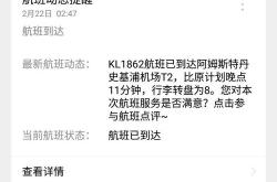 航班延误的英文