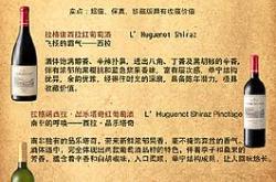 中文葡语翻译