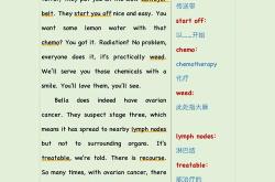 环球翻译官