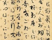 谢应是哪本小说的