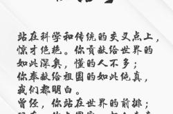 杨秋林律师